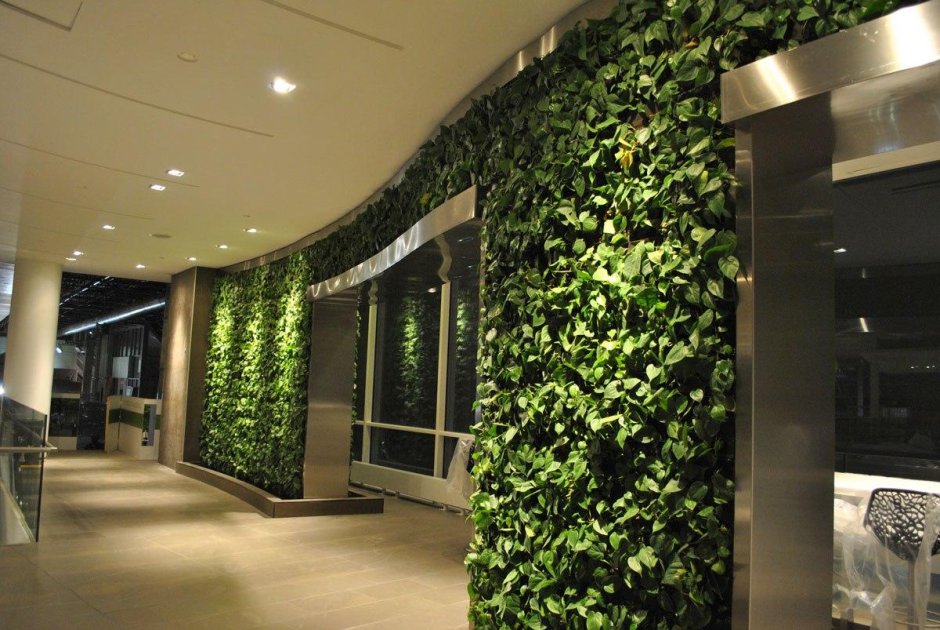 Озеленение потолка