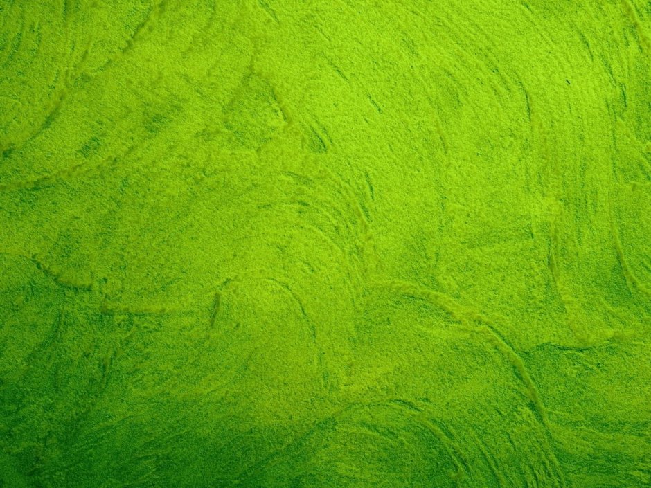 Зеленый фон текстура