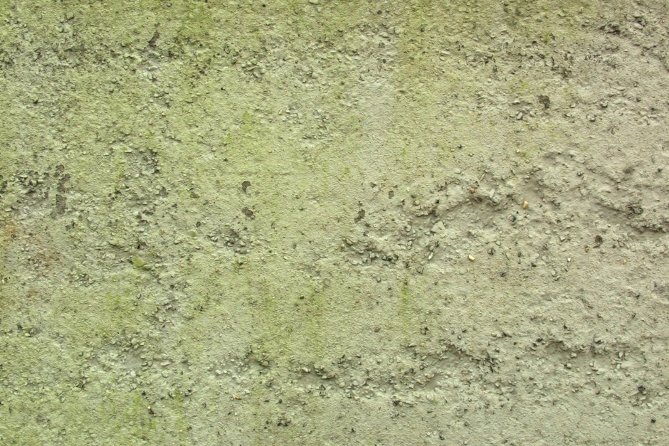 Зеленая штукатурка