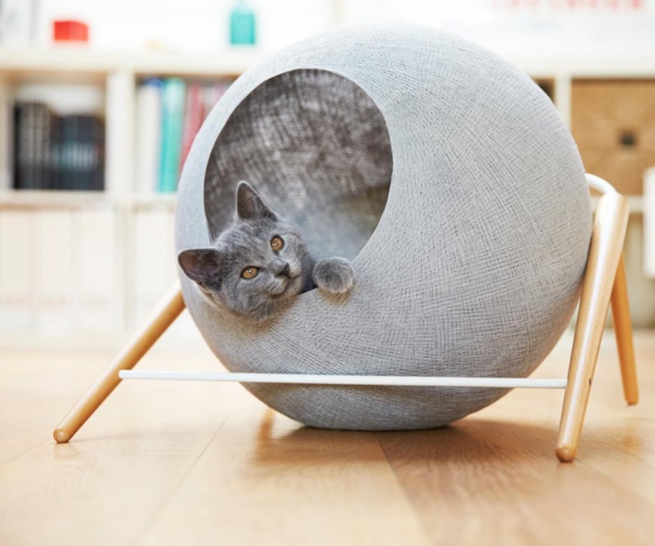 Кошачий дом в виде шара