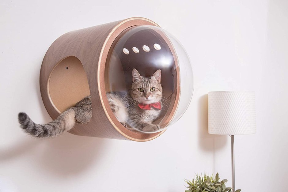 Кэт студио домики для кошек