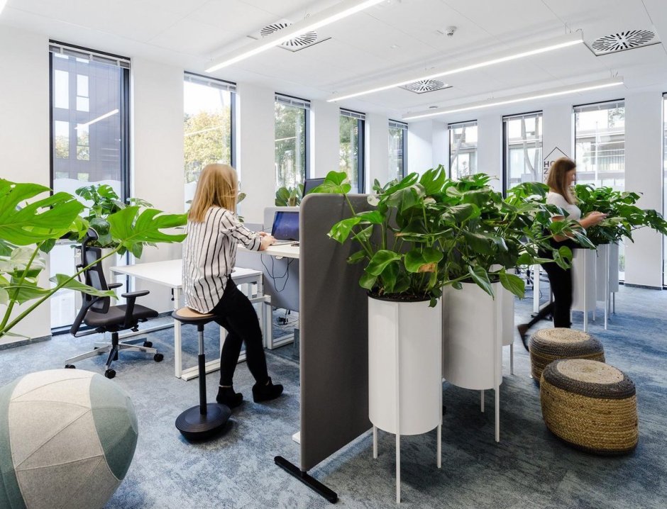 Вертикальное Озеленение в офисе