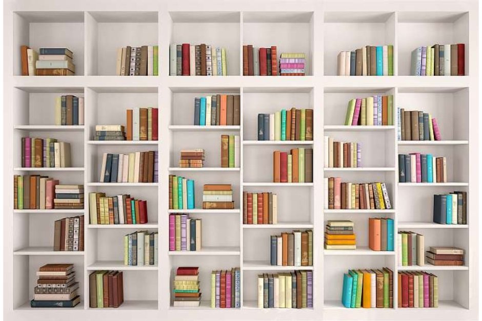 Необычные книжные полки