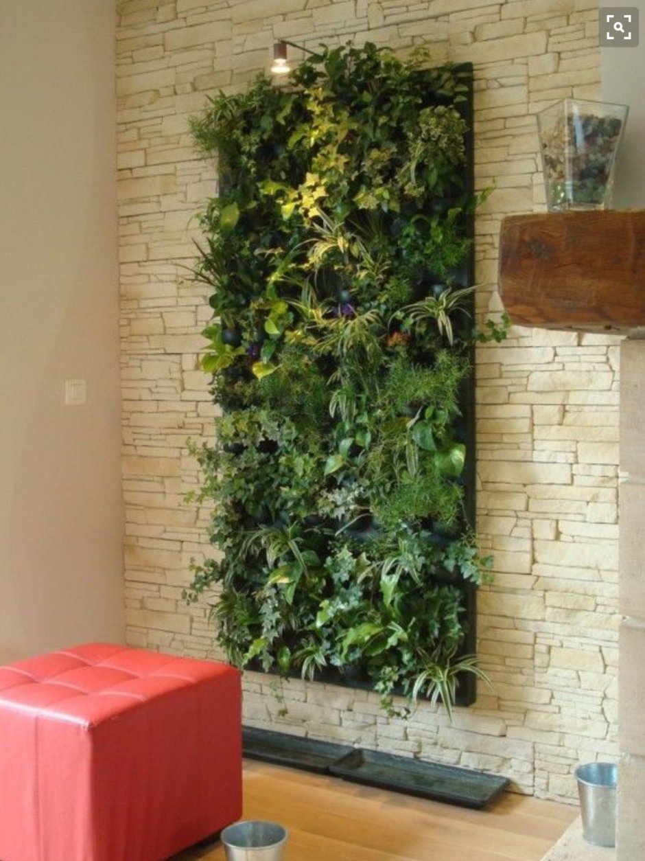 Кирпичная стена вертикальное Озеленение
