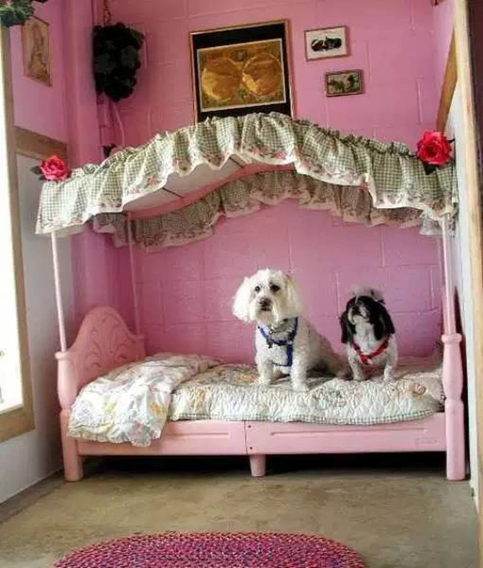 Плетеный домик для собаки