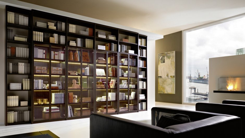Встроенные книжные шкафы со стеклянными дверями в нишу