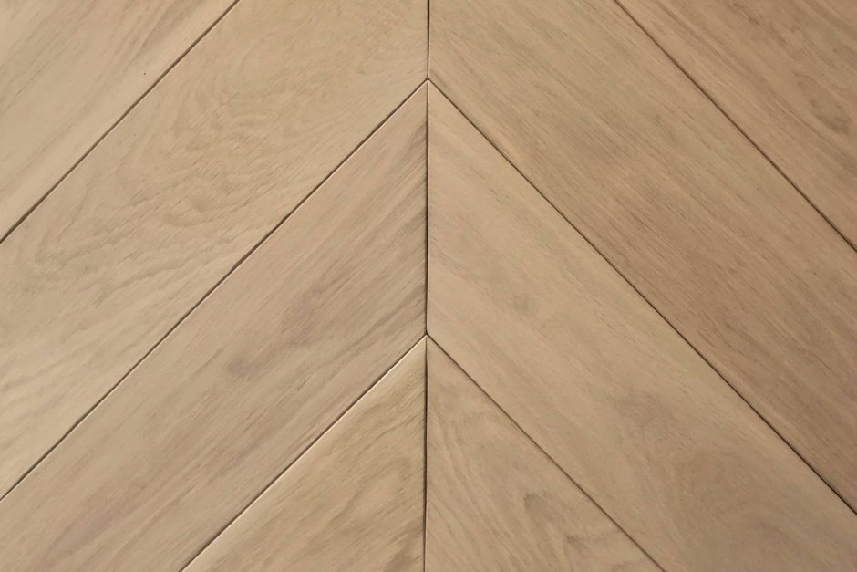 Chevron parquet Walnut Floor