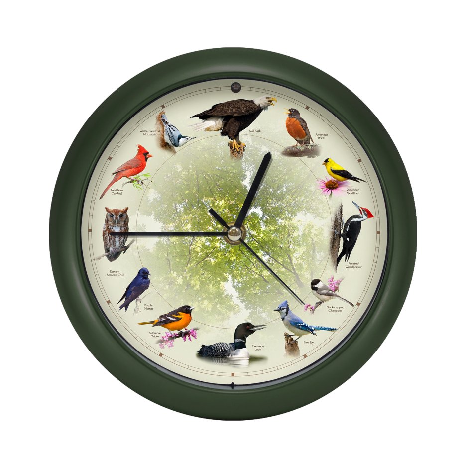 Настенные часы Винтаж птички