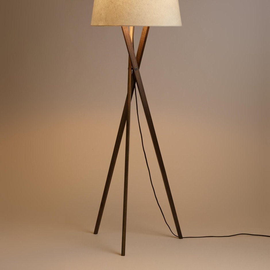 Modern Wooden Floor Lamp (lb-10026)