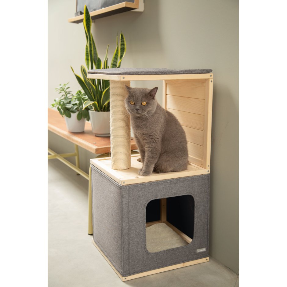 Домашние домики для кошек