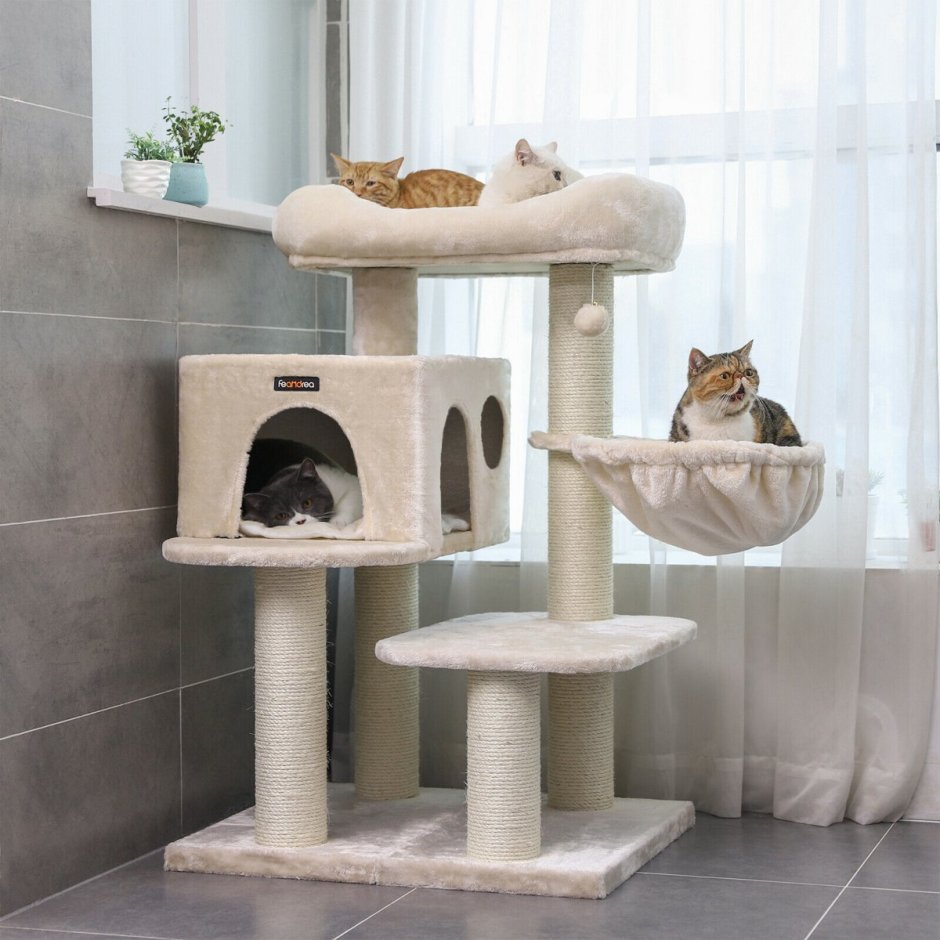 Прикольные домики для кошек