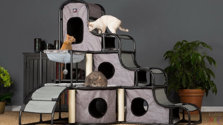 Картонные домики лабиринты для кошек