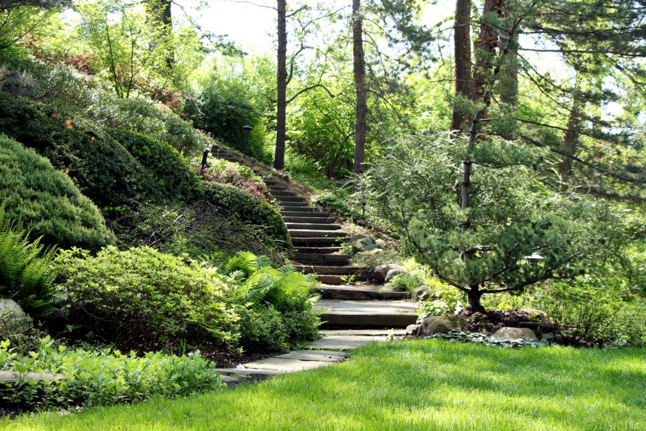 Лестница в ландшафтном парке,саду
