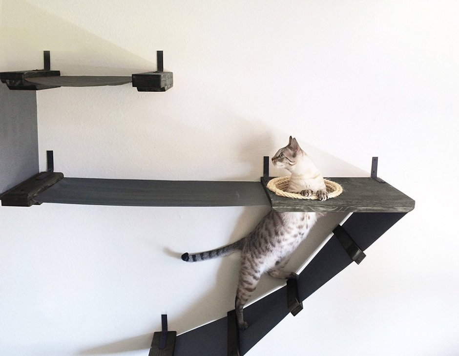 Полка ЛАКК для кота
