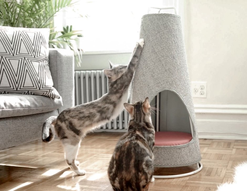 Дизайнерская мебель для кошек кошек