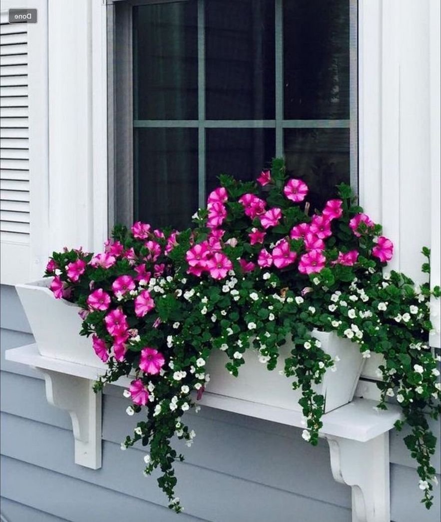 Красивые цветы на балконе