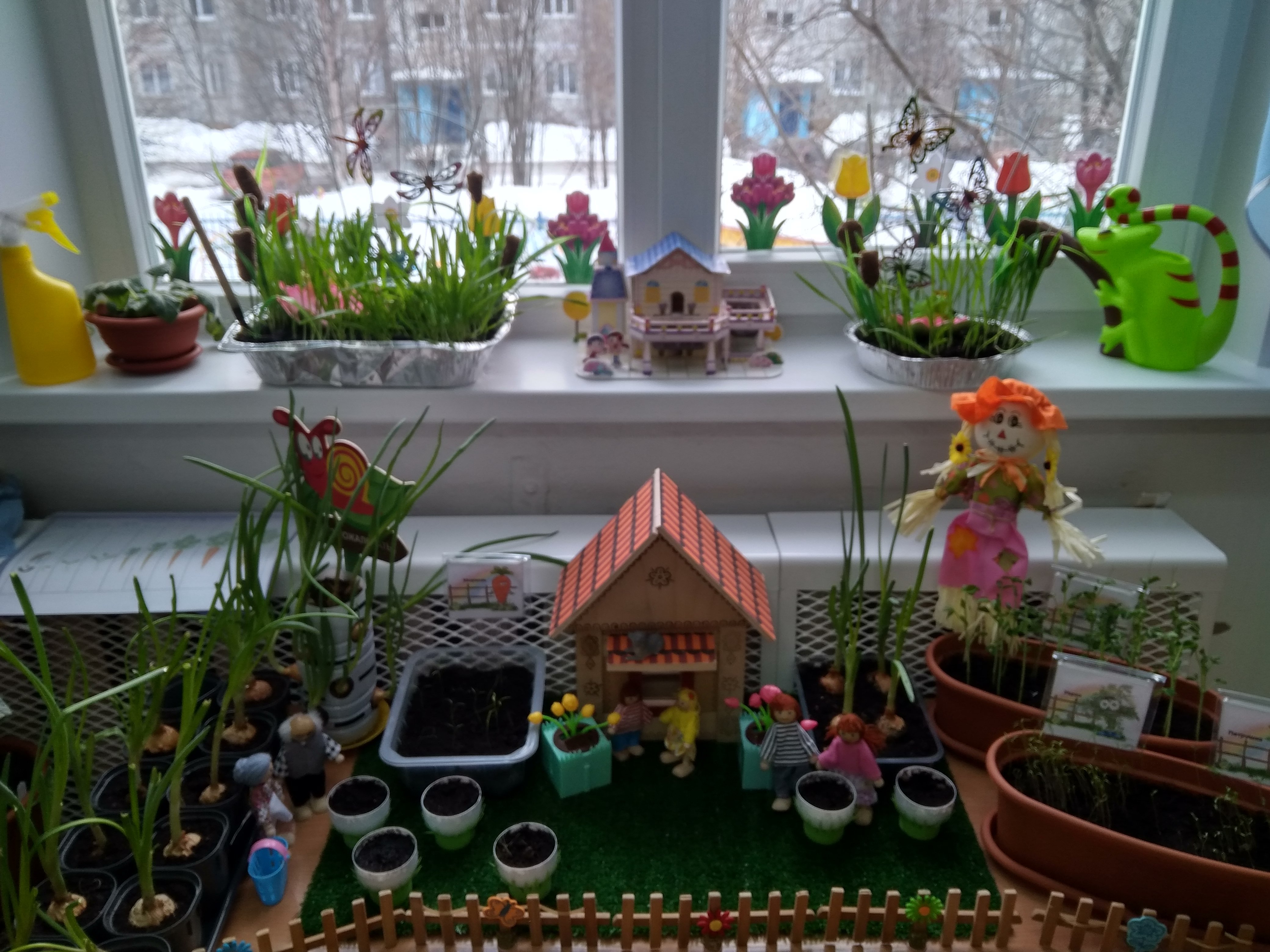 Огород на окне цветы. Огород на подоконнике. Огород на окне в детском саду. Огород на подоконнике в детском саду. Огород на окошке в детском саду.
