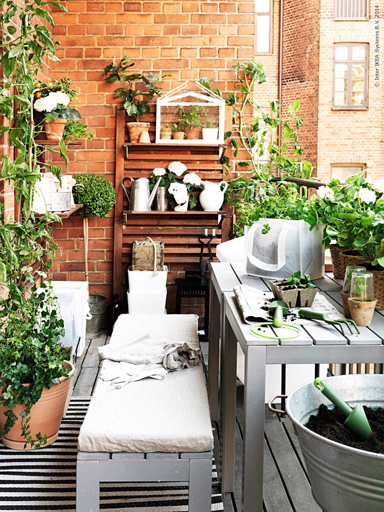Уютный балкон с растениями