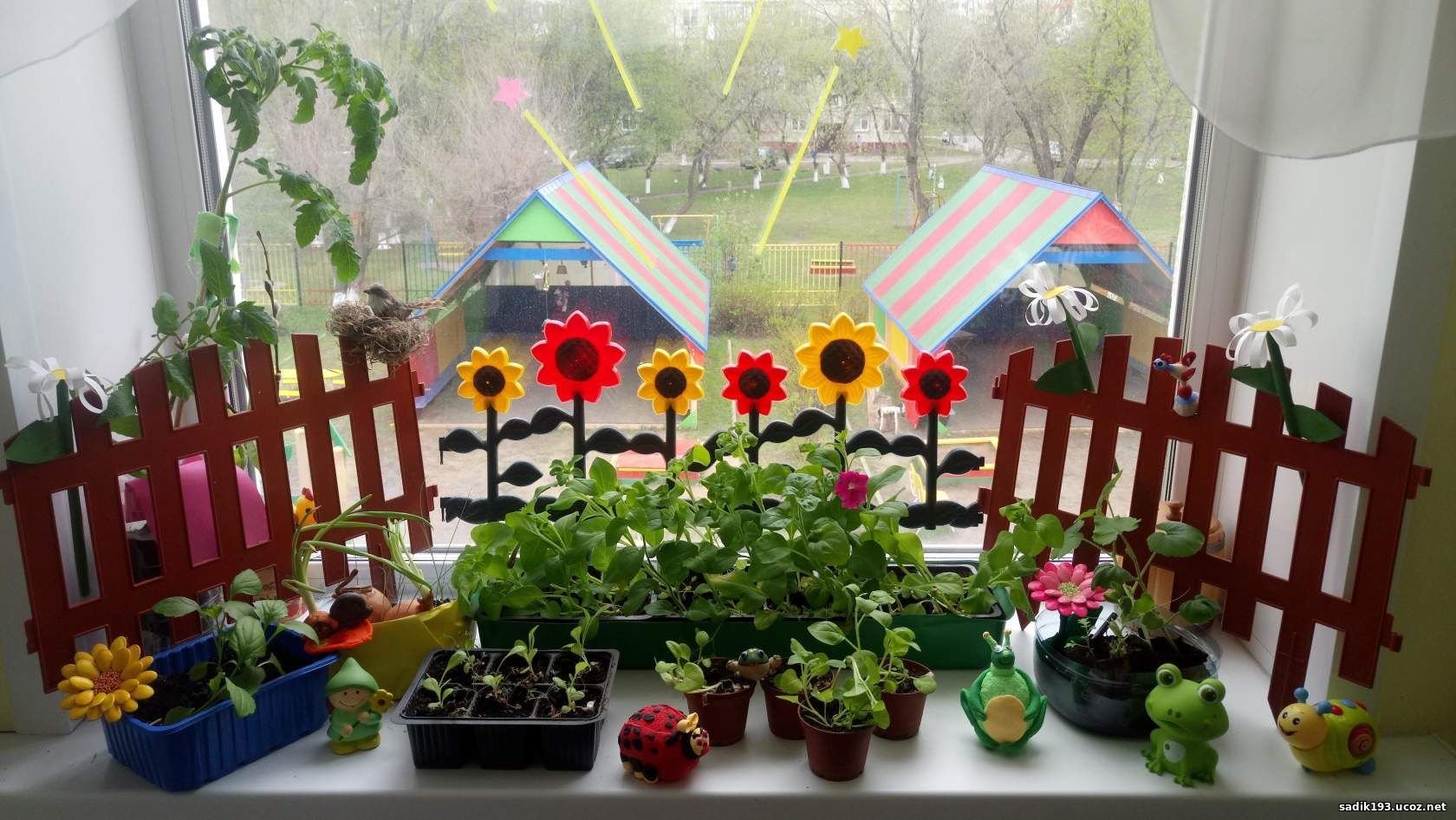 Конкурс сад на окне. Огород на окне. Огород на подоконнике в саду. Сад на подоконнике в детском саду. Огород на подоконнике в садике.
