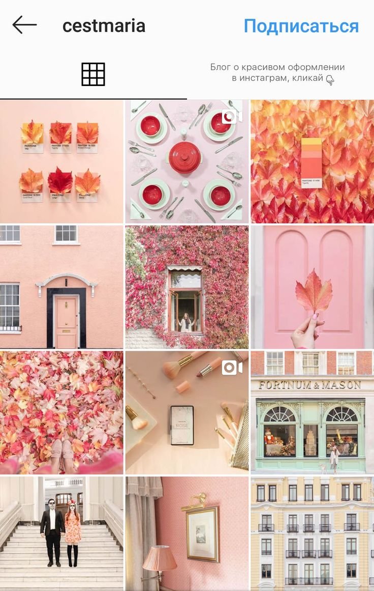 Замок Вальдау, посёлок низовье