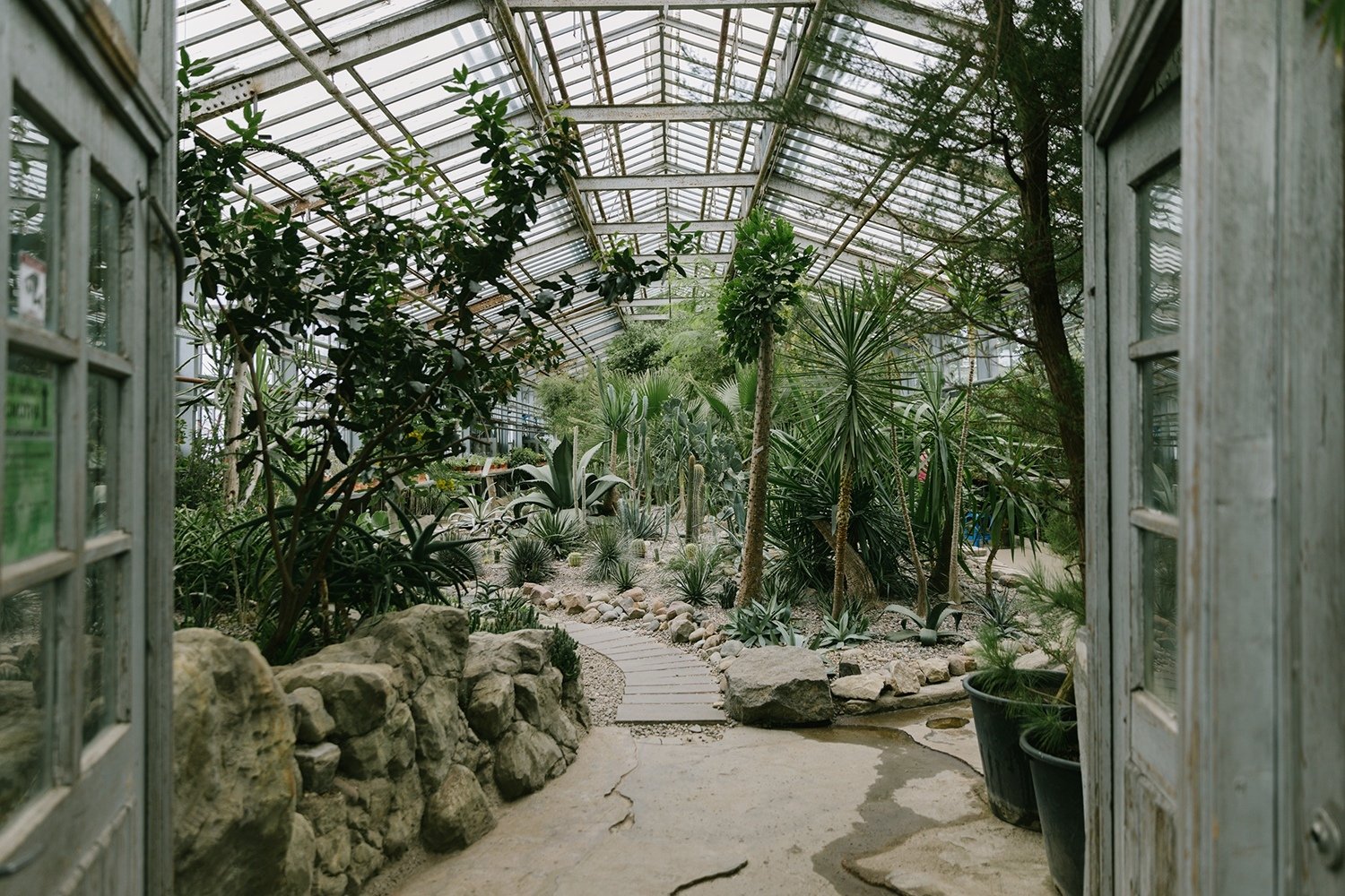 Оранжерея ботанического сада в Москве