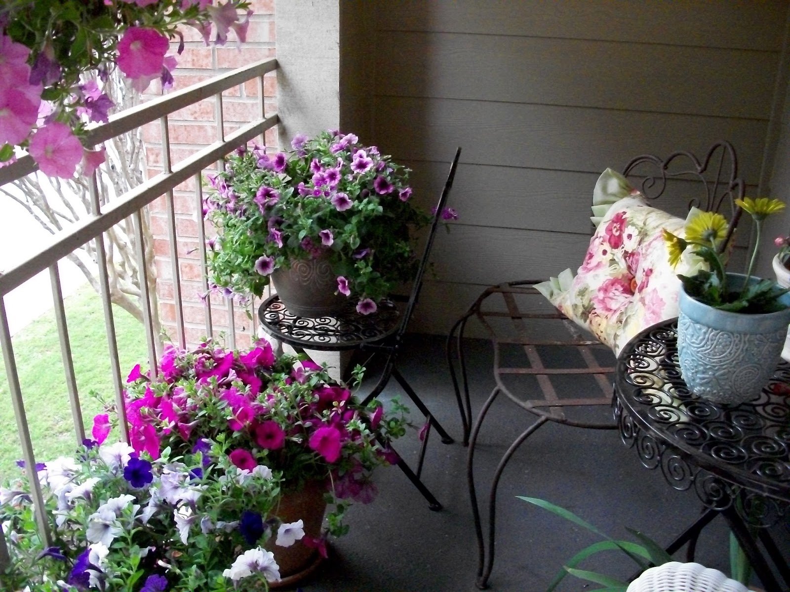 Когда весной можно выносить на улицу. Цветы на балконе. Украсить балкон цветами. Комнатные растения на балконе. Горшечные цветы на балконе.