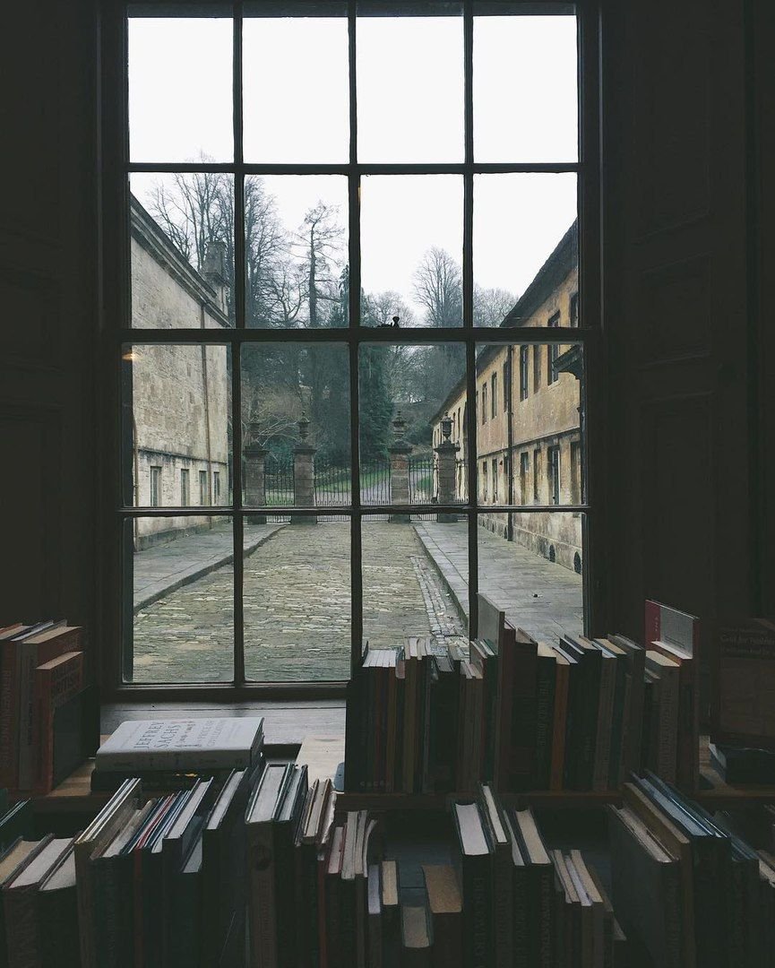 Окно в библиотеке