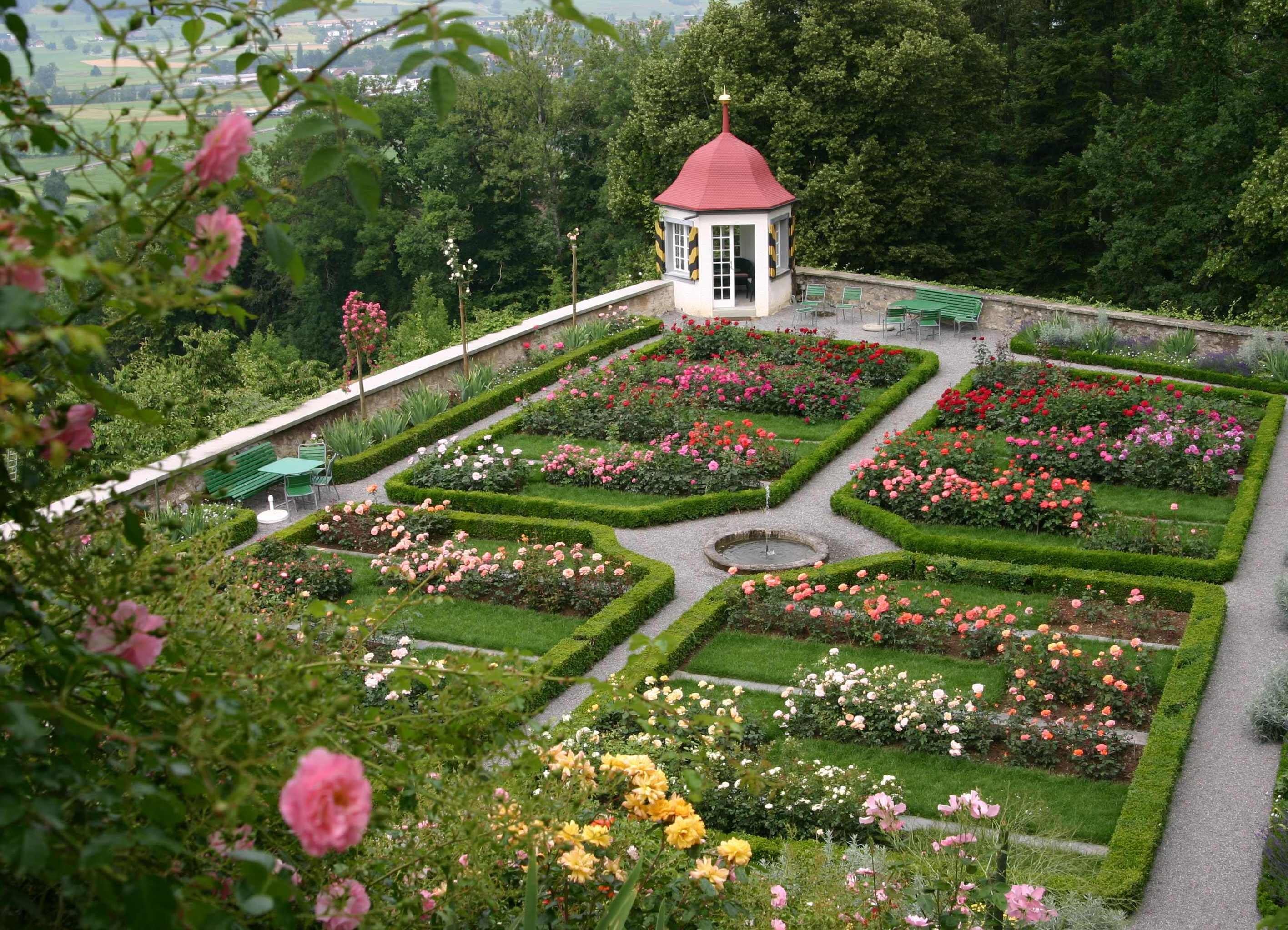 Сад роз в Берне Швейцария