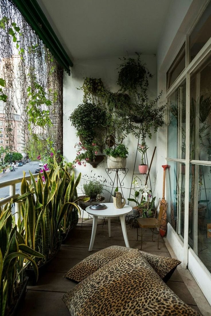 Комнатные растения на балконе