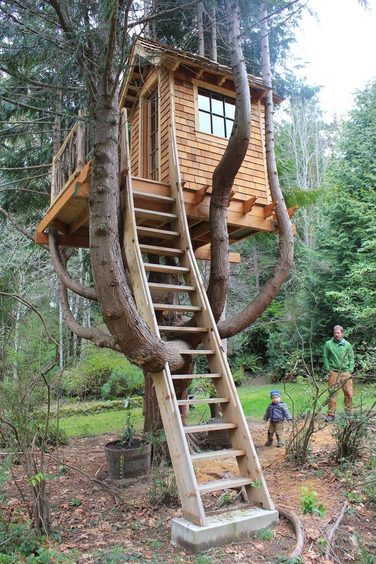 Лестница в доме дерево