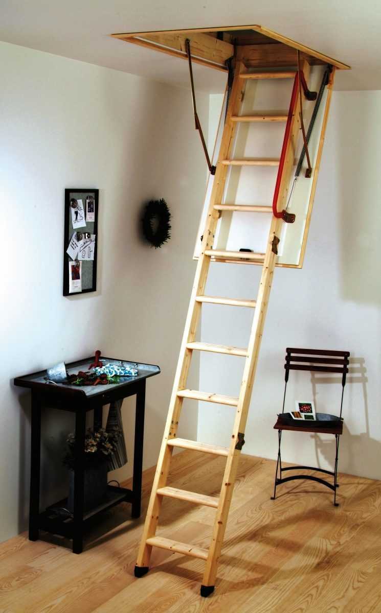 Big Ladder