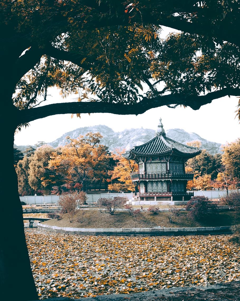 Бонгуэнса дворец Южная Корея