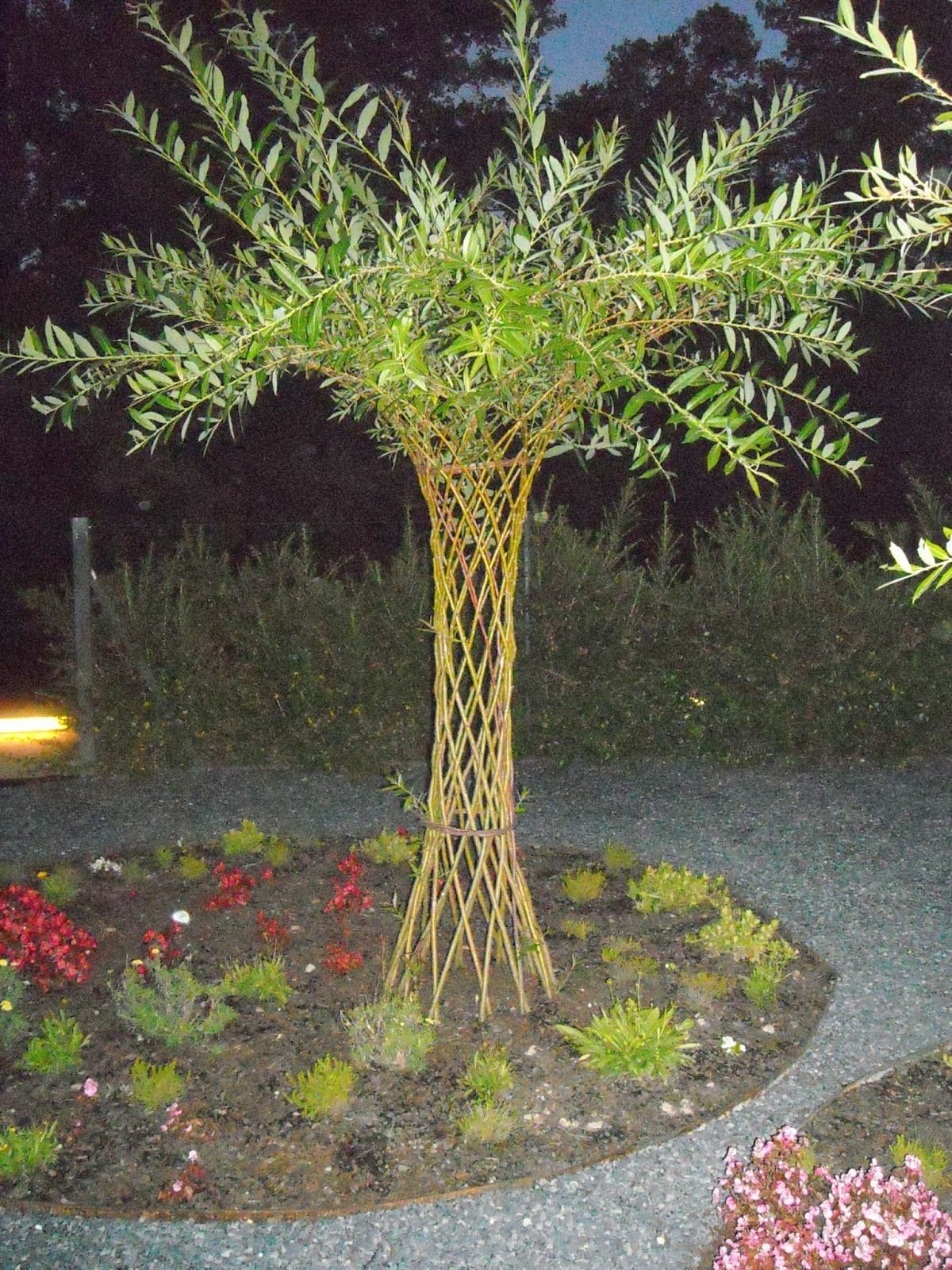 Плетеное дерево из ивы в ландшафтном дизайне фото