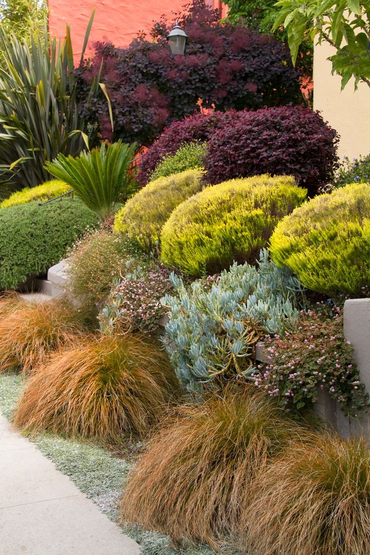 Осока обильнолистная (Carex foliosissima `Irish Green`)