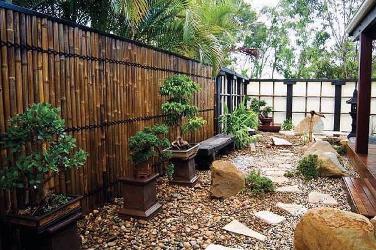 Бамбук в ландшафтном дизайне фото