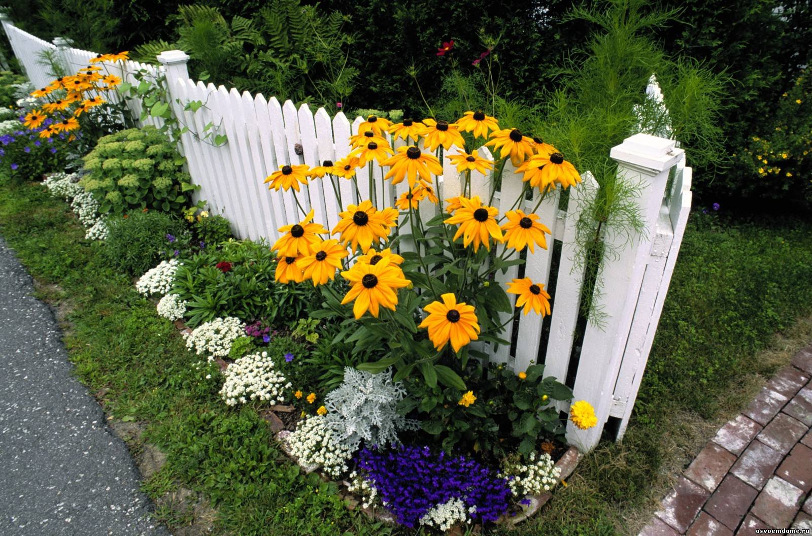 Цветы возле дома своими руками