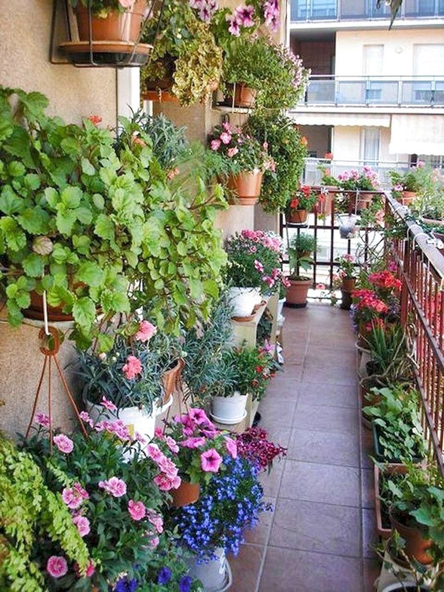 Сад на балконе идеи