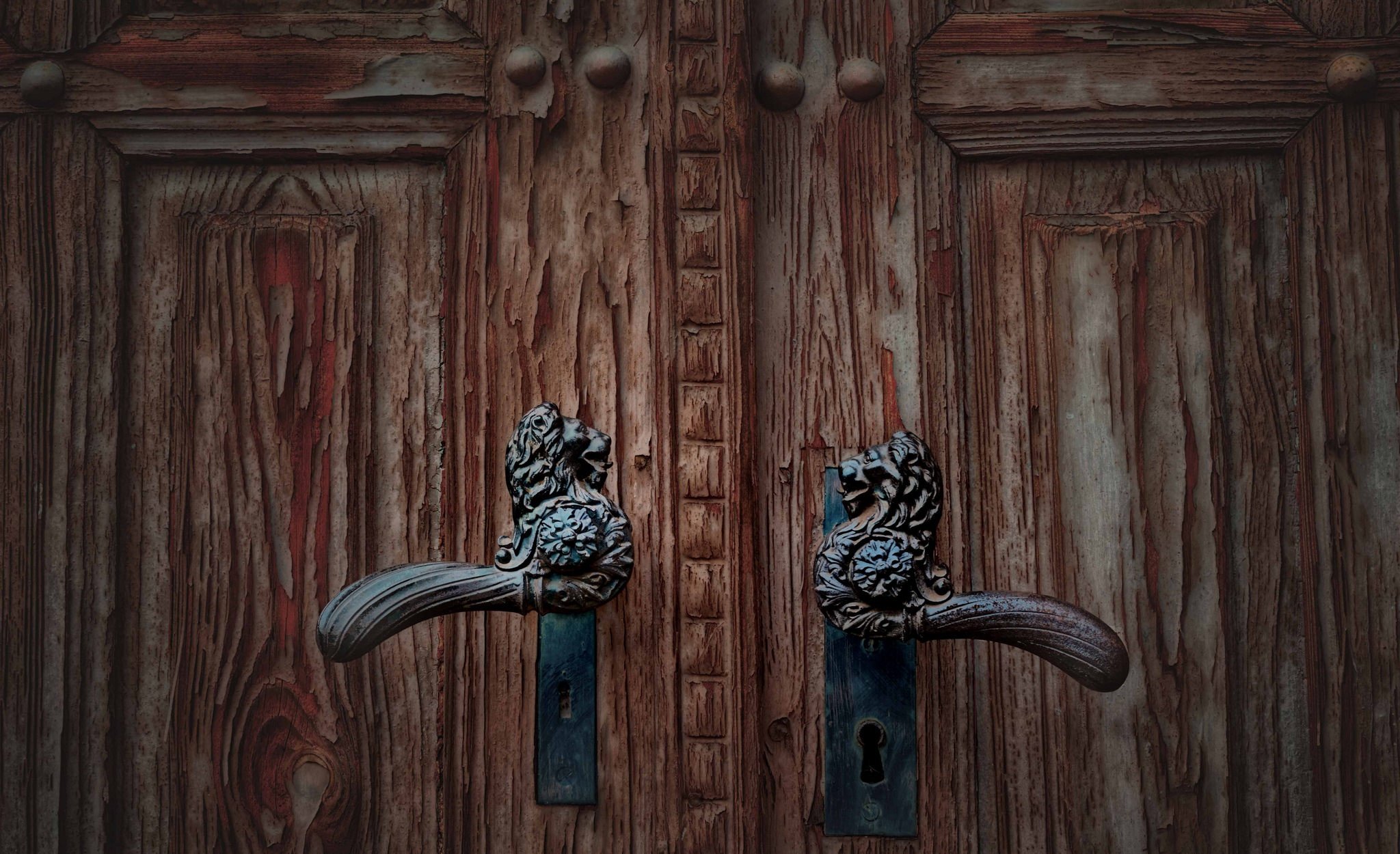 Голодные двери. Сказочная деревянная дверь. Старинная дверь. Закрытая деревянная дверь. Запертая дверь.