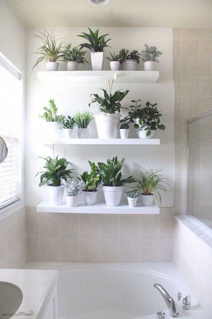 Растения в ванной комнате