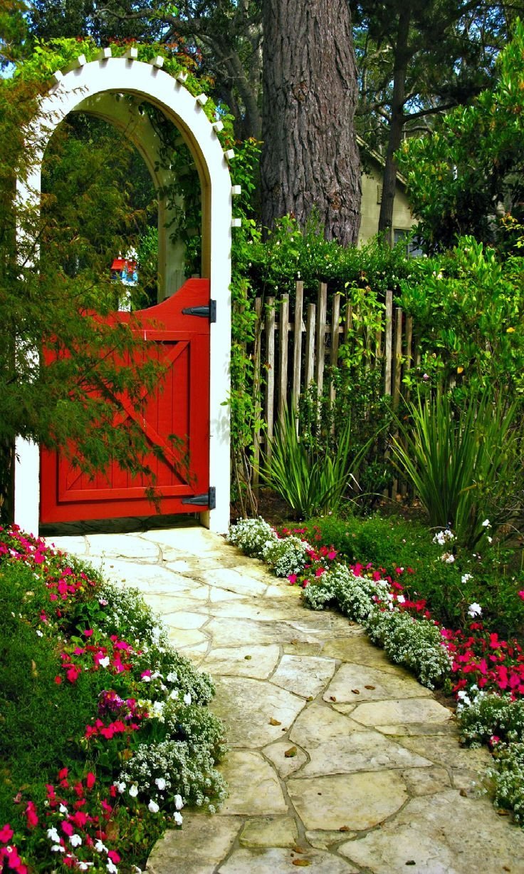 Гарден гейт (Garden Gate) плетистая