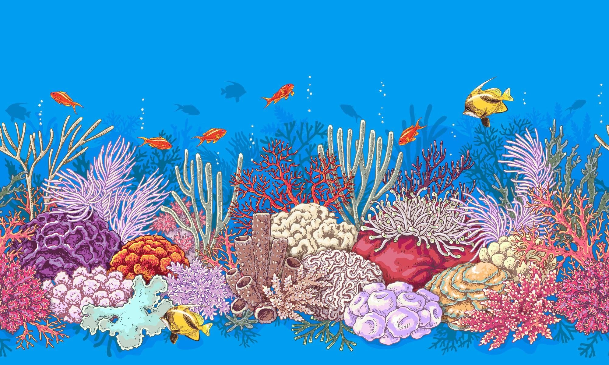 Подводный мир кораллы вектор