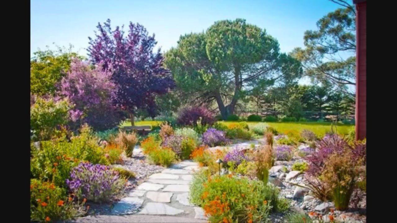 Алан Титчмарш сад в средиземноморском стиле