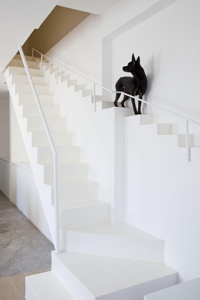 Необычные лестницы для собак