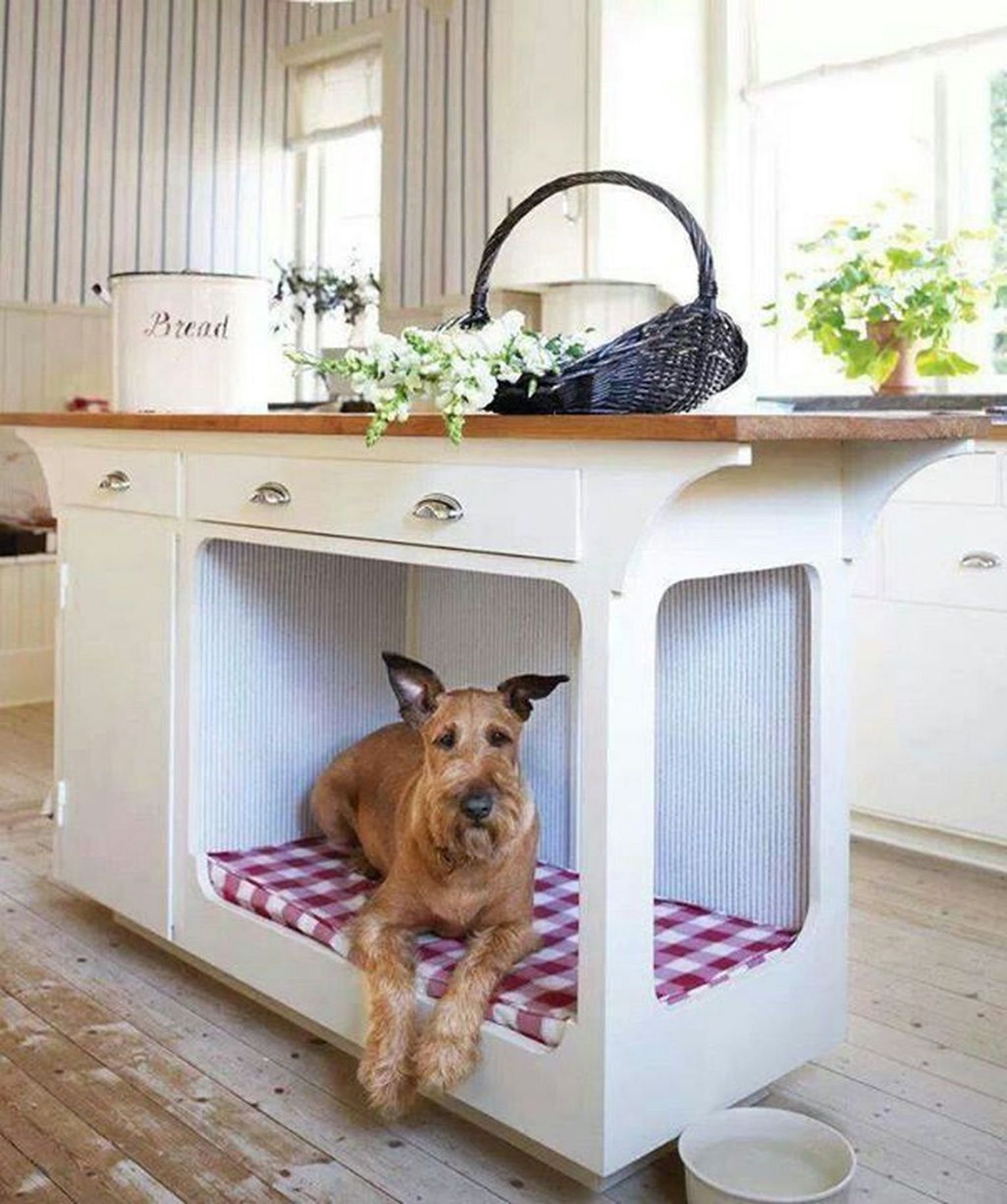 Дом для собаки в квартире