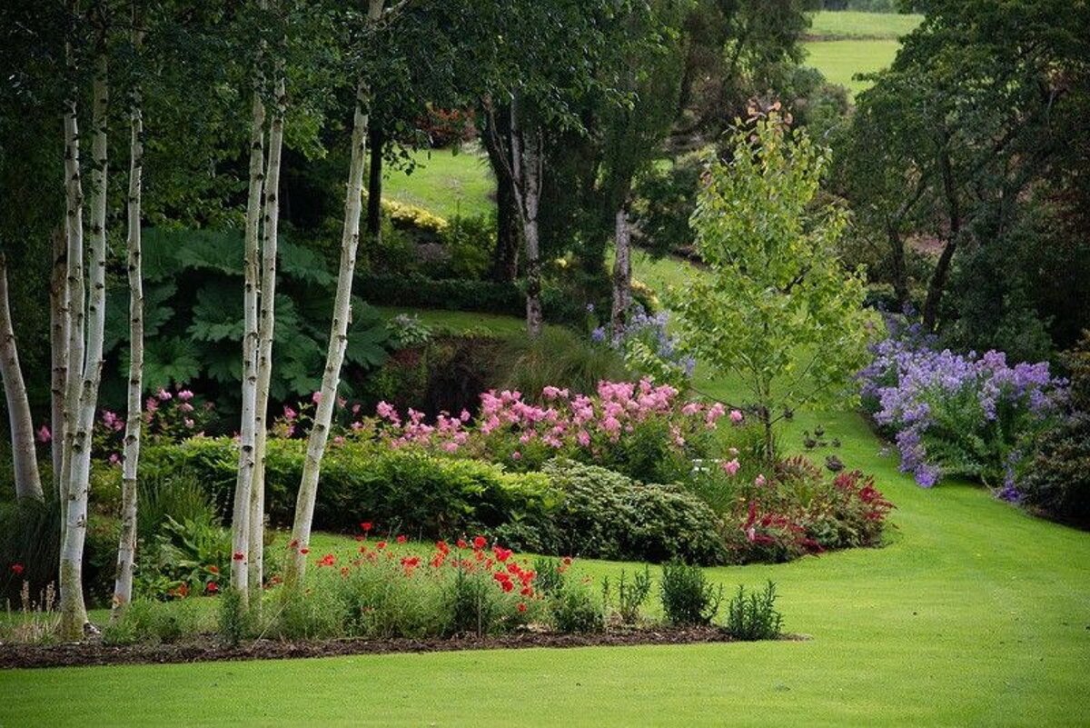 Сад Maple Glen в новой Зеландии фото
