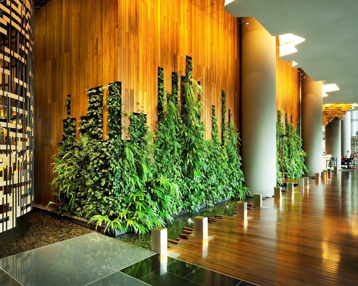 Лиана Грин вертикальное Озеленение