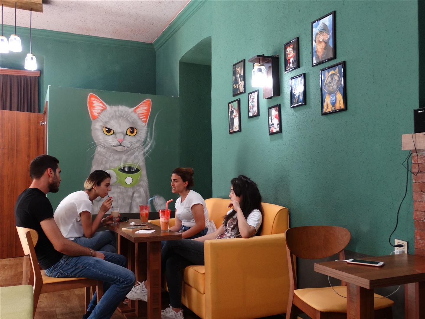 Кафе с кошками адрес
