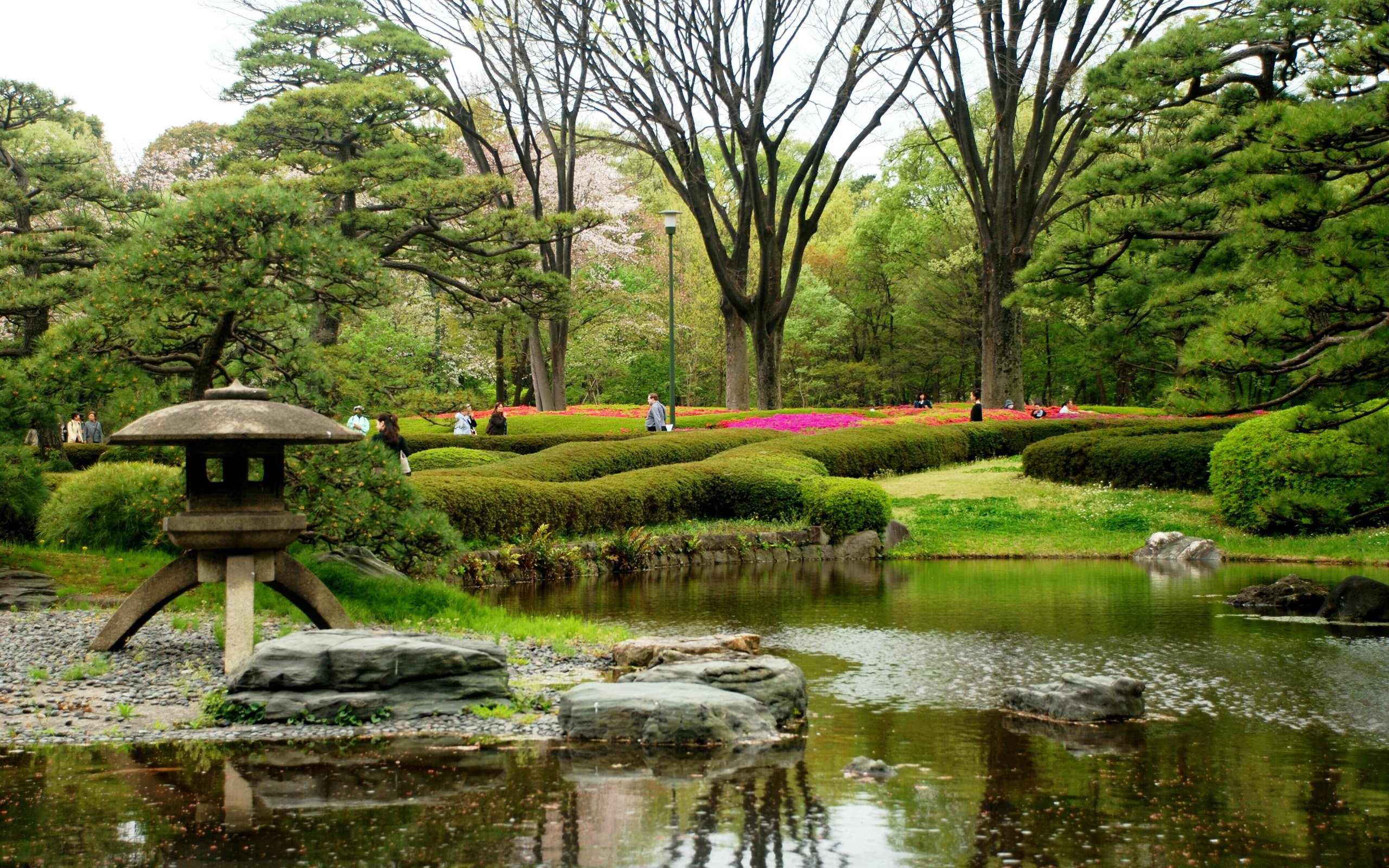 Забронировать столик в японском саду. Ландшафтный пейзажный сад Японии. Парк Галинского японский сад. Японский сад в парке Кадриорг. Парк ОИСИ Япония.