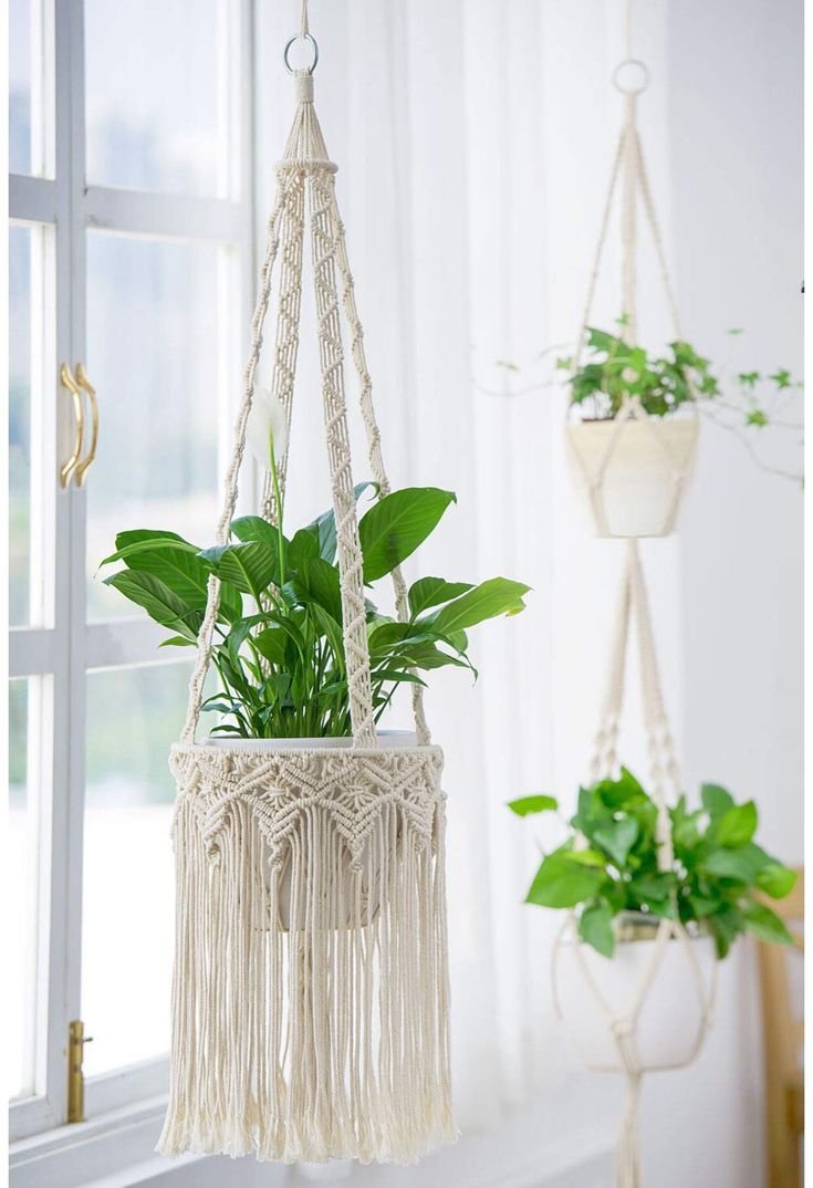 Macrame Plant Hanger