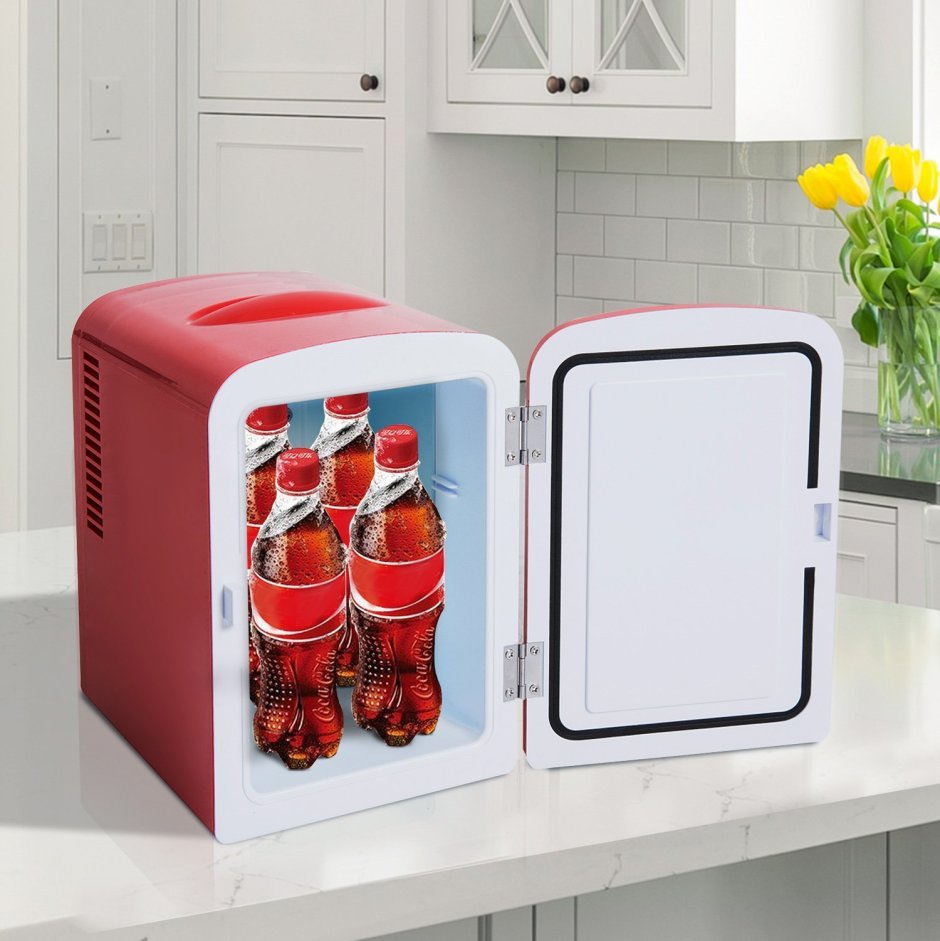 Mini Fridge 02248